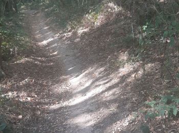 Tocht Stappen Villeneuve-en-Montagne - La Chapelle de Villard  - Photo