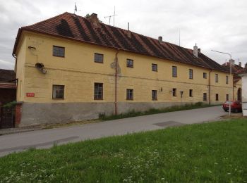 Percorso A piedi Protivín - NS Na břehu Blanice - Photo