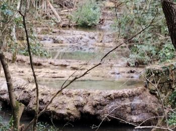 Randonnée Marche Méounes-lès-Montrieux - le Gapeau - Photo