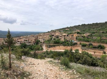 Trail Walking Alquézar - Balsa de basa il - Photo