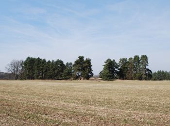 Percorso A piedi Vlkov - naučná stezka Veselské pískovny - Photo