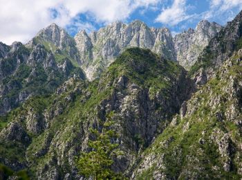 Tocht Te voet Lusevera - Sentiero Natura Valle Musi - Photo