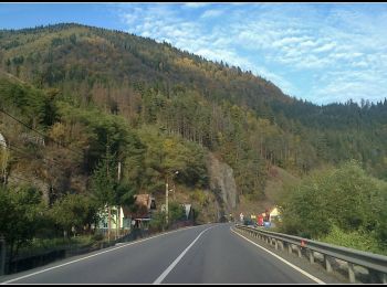 Tocht Te voet  - Stânceni-Poiana Zebrac - Photo