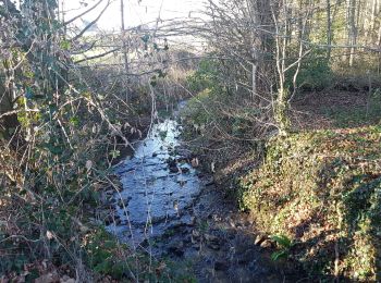 Excursión Senderismo Limours - Essonne_RD_Limours=>Viaduc=>Prédecelle=>Chaumusson - Photo