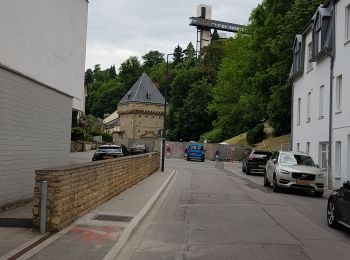 Excursión Cicloturismo Goesdorf - Camping Toodlermillen - Luxemburg - Photo