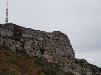 Excursión Senderismo Montpeyroux - Font du Griffe - Mont Saint Baudille - Photo