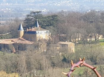 Tour Wandern Dommartin - Ballade de la Madone - Photo