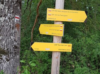 Trail Walking Dienville - Dienville pour le Matin - Photo