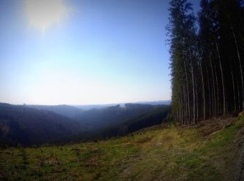 Randonnée V.T.T. La Roche-en-Ardenne - VTT autour de Samrée . - Photo