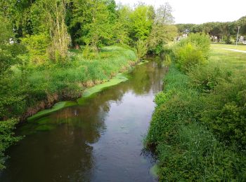 Trail Walking Saint-Médard-en-Jalles - Moulin de Gajac - Photo