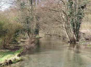 Randonnée A pied Guizancourt - La Montagne de Guizancourt - Photo