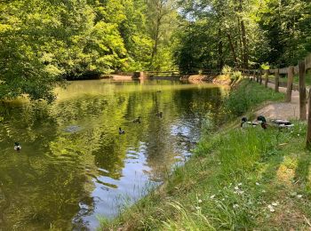 Percorso A piedi Erbach - Rundwanderweg Erbach 2: - Photo