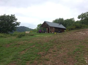 Randonnée Marche Roderen - Roderen-Abri du Hochburg - Photo