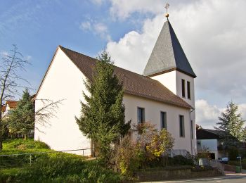 Tocht Te voet Onbekend - Ochsenpferch-Weg - Photo