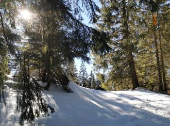 Tour Schneeschuhwandern Chapelle-des-Bois - la chapelle, le près d'haut - Photo