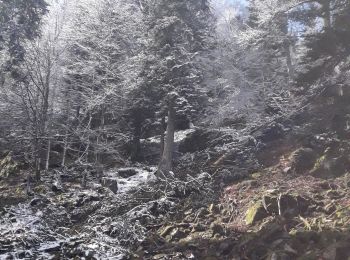 Randonnée Marche Ventron - les hauts de frère Joseph  depuis Ventron - Photo