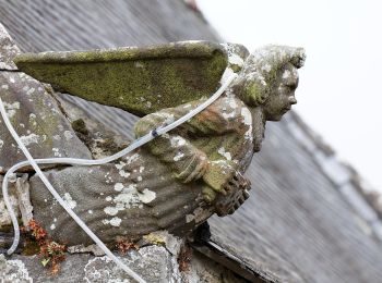 Tour Zu Fuß Hanvec - Troiad ar Vadalen - Photo