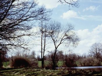 Trail On foot Lassy - Circuit des Ruisseaux - Photo