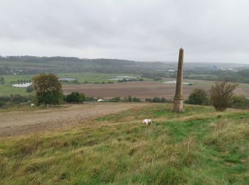 Randonnée Marche Arques-la-Bataille - forêt d'arques - Photo