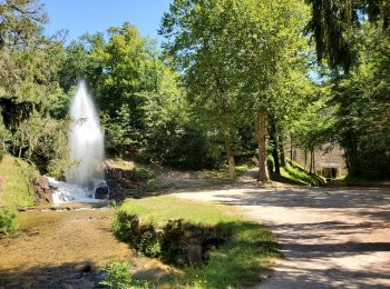 Tour Elektrofahrrad Saint-Félix-Lauragais - De Lenclas à Santa Fé - Photo