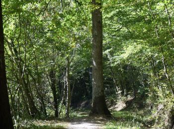 Tour Nordic Walking Lisle-sur-Tarn - Sentier de Sivens - Photo