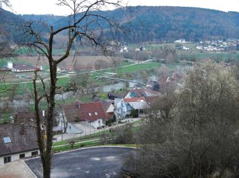 Tocht Te voet Rottenburg am Neckar - Bieringen-Weitenburg - Photo