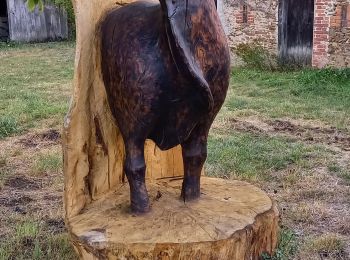 Randonnée Marche Moutier-Malcard - Moutier,N'oublier,Forêt,Mortroux - Photo