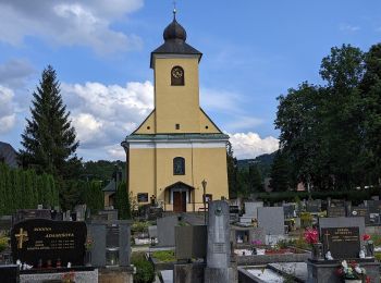 Excursión A pie Pstruží - Medvědí stezky - modry okruh - Photo