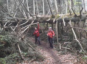 Excursión Senderismo Chindrieux - SAPENAY - CLERGEON - GRANDE CUVE - GROS FOUG : 22 km - Photo