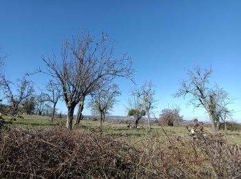 Excursión Senderismo Montluçon - ijj - Photo