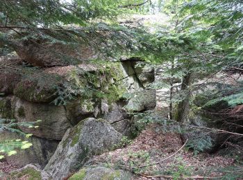 Percorso A piedi Arconsat - Montlune - Photo