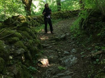 Trail Walking Saint-Chély-d'Aubrac - St chely Aubrac  - Photo