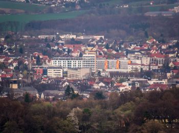 Excursión A pie Detmold - Zugangsweg Hermannshöhen - Detmold - Photo