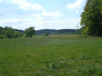 Tocht Te voet Alfdorf - Alfdorfer Wanderweg Nr.11 - Photo