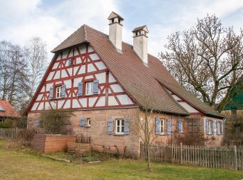 Tour Zu Fuß Schwarzenbruck - Schwarzenbruck Wanderweg - Photo