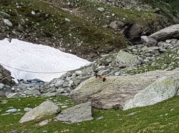 Tocht Stappen Val-Cenis - BRAMANS  -  73 - Photo