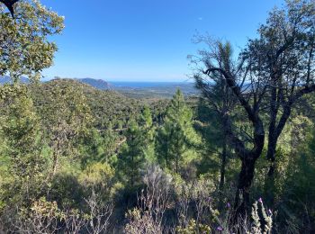 Randonnée V.T.T. Les Adrets-de-l'Estérel - Esterel 10 : Fait 2022 Les Adrets vers Le Traya  - Photo