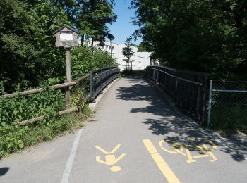 Tocht Te voet Münchwilen (TG) - Münchwilen - Dreibrunnen - Wil - Photo