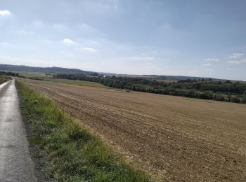 Tocht Mountainbike Laneuville-sur-Meuse - 55-vtt-Laneuville-Pouilly-17km - Photo