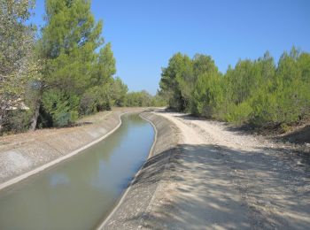 Tour Wandern Mallemort - PF-Mallemort - Le Gros Mourre - Photo