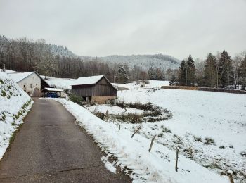 Randonnée Marche Vieux-Moulin - Vieux-Moulin- La ferme des Fourmis - Vieux Moulin - Photo