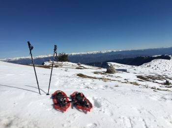 Excursión Raquetas de nieve Saint-Étienne-les-Orgues - Station - sommet de Lure - Photo