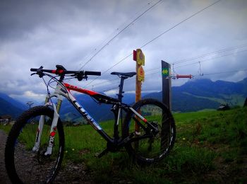 Randonnée V.T.T. Le Grand-Bornand - VTT sur Le_Grand_Bornand 