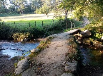 Tour Wandern Salvizinet - Salvizinet, les ponts - Photo