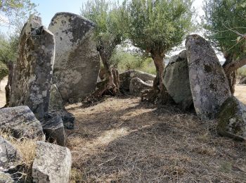 Percorso A piedi Monsaraz - Rota dos Menires - Photo