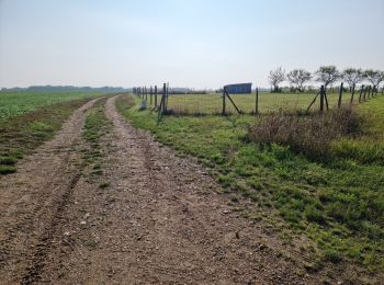 Tour Wandern Villiers-sur-Loir - Villiers-sur-Loir Circuit PR (Promenade et Randonnée) - Photo