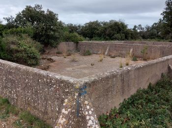 Tour Wandern Gigean - arsel la gardiole - Photo