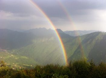 Tocht Te voet Pezzaze - Pezzaze (Mondaro) - Colle di San Zeno - Photo