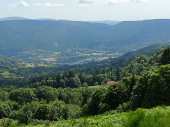 Trail Walking Saulxures-sur-Moselotte - Circuit haut du Roc par circuit des roches - Photo