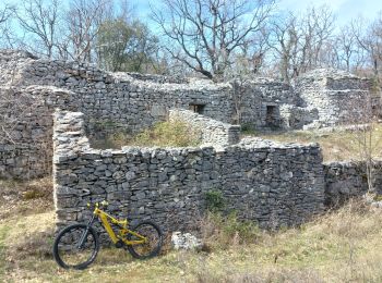 Tocht Mountainbike Mormoiron - La Colombie Britannique Provençale - Photo